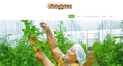 Desktop Screenshot of kinchiles.com